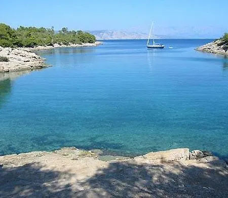 Agava * Vrboska